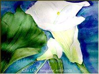 Cala Lily- Watercolor by Lily Azerad-Goldman
