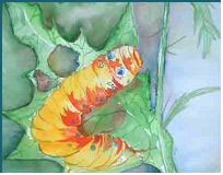 Caterpillar at the EcoTarium- Painting by Lily Azerad-Goldman